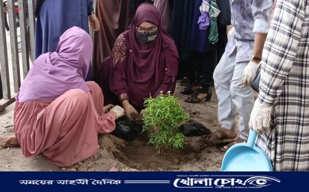 ব্রাহ্মণবাডিয়ায় বাজার মনিটরিং ও বৃক্ষরোপণ কার্যক্রম শুরু করেছে শিক্ষার্থীরা