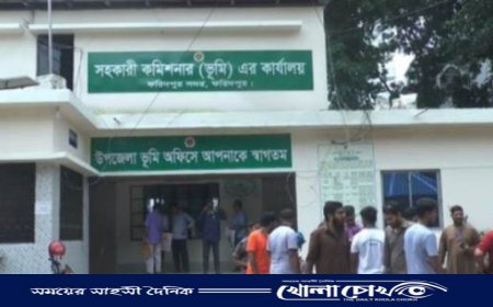 ভূমি অফিসে সার্ভেয়ার রাইসুল ইসলামের বিরুদ্ধে ঘুষ দাবির অভিযোগ