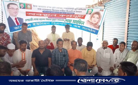 সালথায় বিএনপির অবস্থান কর্মসূচি পালন 