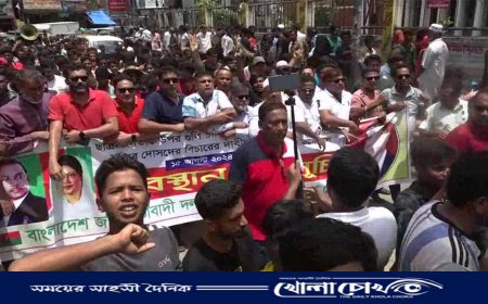 গণহত্যার দায়ে শেখ হাসিনাসহ জড়িতদের বিচারের দাবিতে ব্রাহ্মণবাড়িয়ায় বিএনপির অবস্থান কর্মসূচী