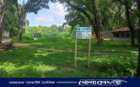 বালিয়াকান্দিতে নিজের জমি দখলমুক্ত করলেন ইসলাম মন্ডল