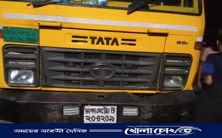 ফরিদপুর সড়ক দুর্ঘটনায় দুই জন আহত 