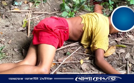 সালথায় গাছের সাথে ধাক্কা খেয়ে এক কিশোর নিহত