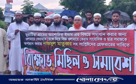 সালথায় সাবেক ছাত্রলীগ নেতার গ্রেফতারের দাবীতে বিক্ষোভ মিছিল ও সমাবেশ