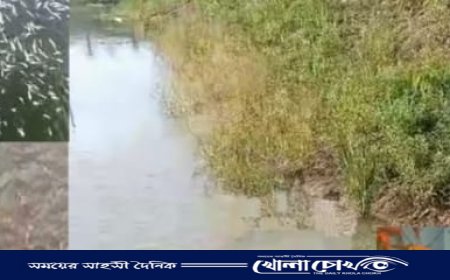 ফরিদপুরে একজন তরুণ উদ্যোক্তা মোসাদ্দেক মন্ডল রাহাত ‌