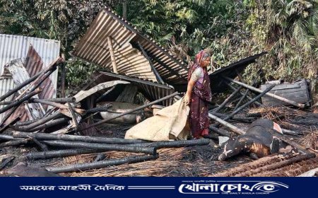 মহম্মদপুরে অগ্নিকান্ডে গবাদিপশু পুড়ে ছাই 