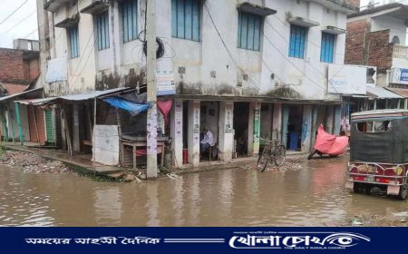 শালিখার আড়পাড়া পোস্ট অফিস সড়কের সামান্য বৃষ্টিতে জলাবদ্ধতা 