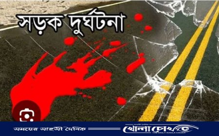 ফরিদপুরে সড়ক দুর্ঘটনায় এক ব্যক্তির ‌ মৃত্যু 