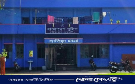 কাজ শেষ করে ফেরার পথে বৃদ্ধাকে ছুরিকাঘাতে হত্যা