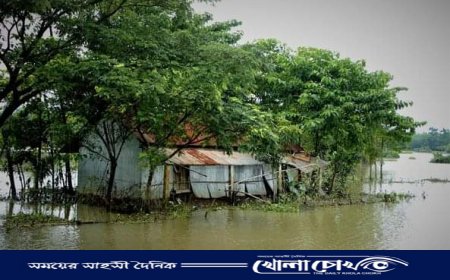 নোয়াখালীতে বন্যায় ১১জনের মৃত্যু,পানিবন্দি ১৬ লাখ মানুষ 