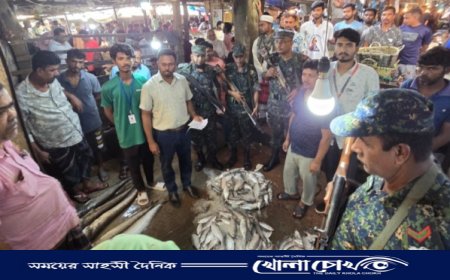 ফরিদপুরে ‌ইলিশের আড়ত ও নকল শিশু খাদ্যের কারখানায় জেলা ভোক্তা অধিদপ্তরের অভিযান 