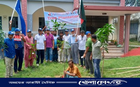 রোটারি ক্লাব অফ ফরিদপুরের উদ্যোগে বৃক্ষরোপণ অনুষ্ঠিত