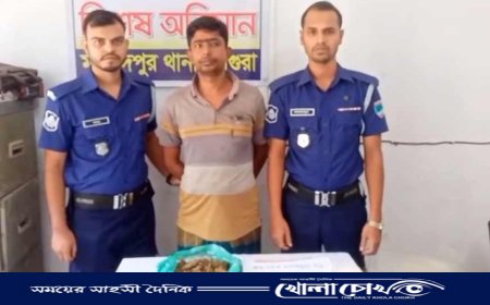 মহম্মদপুরে যৌথ বাহিনীর অভিযানে এক গাঁজা ব্যবসায়ী আটক