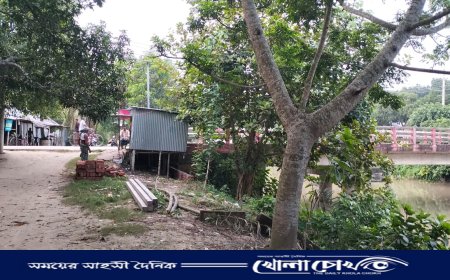 বালিয়াকান্দিতে ব্রিজের পাশের ব্লক তুলে সরকারি জায়গা দখল, ঘর নির্মাণের অভিযোগ 