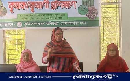 ব্রাহ্মণবাড়িয়ায় দুইদিনব্যাপী কৃষক-কৃষানীর প্রশিক্ষণ শুরু