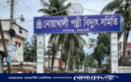 লোডশেডিংয়ে অতিষ্ঠ হয়ে সাবস্টেশনে হামলা, ৩০ হাজার গ্রাহক ভোগান্তিতে