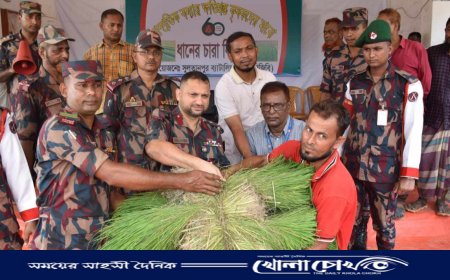 কসবায় কৃষকদের মধ্যে বিজিবির ধানের চারা বিতরণ