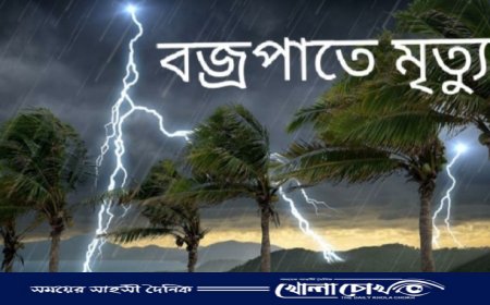 ব্রাহ্মণবাড়িয়ায় বজ্রপাতে কৃষক নিহত