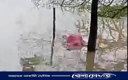 মাগুরায় মধুমতি নদী থেকে অজ্ঞাত এক নারীর মৃতদেহ উদ্ধার