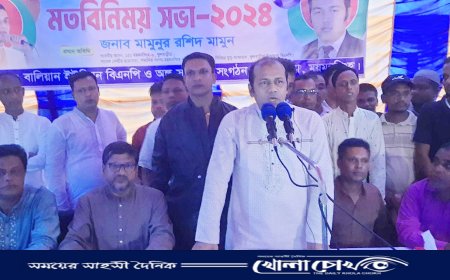 ফুলবাড়িয়ায় বিএনপির মতবিনিময় সভা