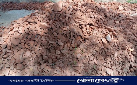 বরগুনায় নিম্নমানের ইটের খোয়া  দিয়ে রাস্তা সংস্কারের অভিযোগ