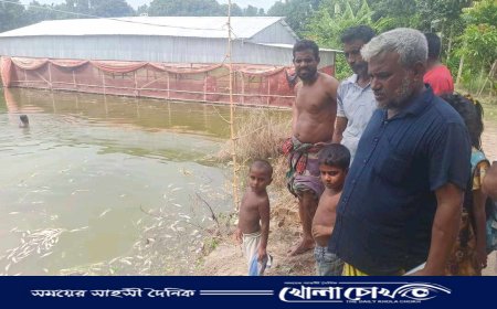 মাগুরায় দুর্বৃত্তদের ছোড়া গ্যাসট্যাবলেটে ৫ লাখ টাকার উর্ধ্বে মাছের ক্ষতি 