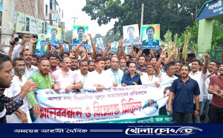 বোয়ালমারীতে নব্য বিএনপির অত্যাচারের প্রতিবাদে বিক্ষোভ মিছিল