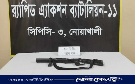 স-মিলের গাছের গুড়ির আড়াল থেকে লুট হওয়া গ্যাসগান উদ্ধার