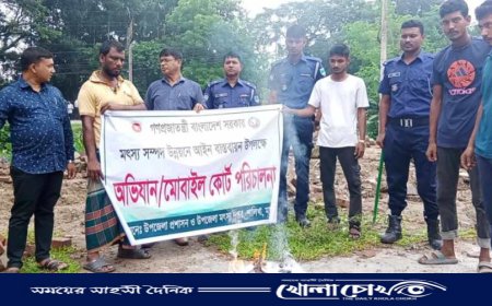 শালিখায় মোবাইল কোর্ট পরিচালনা কারেন্ট জাল জব্দ, ৩ প্রতিষ্ঠানকে জরিমানা