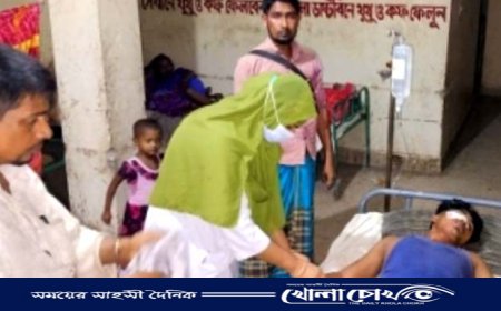 হাতিয়ায় সাংবাদিকের পরিবারের উপর হামলা গ্রেফতার ২ 