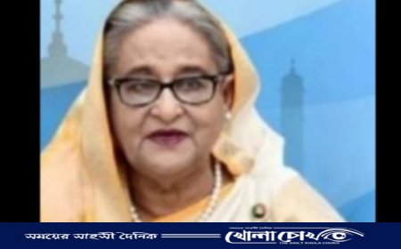 ফরিদপুরে শেখ হাসিনাসহ আ.লীগের ৫০০ নেতাকর্মীর নামে মামলা