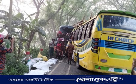 ফরিদপুরে দুই বাসের মুখোমুখি সংঘর্ষে নিহত ৫, আহত ২৩