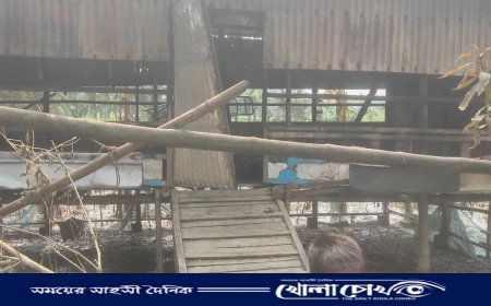 সালথায় মধ্য রাতে ছালগের খামারে আগুন দিলো দূর্বৃত্তরা, ১৭ ছাগলসহ খামার পুড়ে ছাই