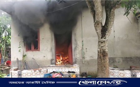 পূর্ব শত্রুতার জেরে ফরিদপুরে বসতবাড়ীতে অগ্নি সংযোগ ও লুটপাট