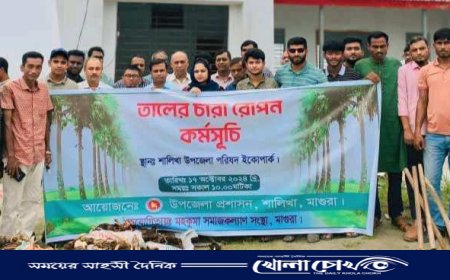 মাগুরার শালিখায় তালের চারা রোপণ কর্মসূচির শুভ উদ্বোধন করেন উপজেলা নির্বাহী কর্মকর্তা