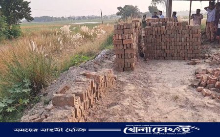 ফরিদপুরে সরকারী রাস্তার ইট লুট রুখে দিলো এলাকাবাসী 