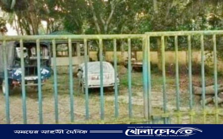 প্রাইভেট কার নিয়ে ছাগল চুরি, আটক-২ 