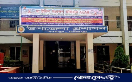 নিষেধাজ্ঞা অমান্য করে ইলিশ ধরায় ২ জেলের কারাদণ্ড