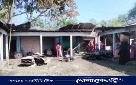 কিশোরগঞ্জে আগুনে ১২টি দোকান পুড়ে ছাই, প্রায় অর্ধ কোটি টাকার ক্ষতি