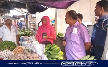 খোকসায় বাজার মনিটরিং করলেন এসিল্যান্ড