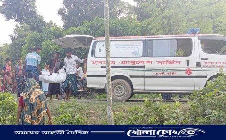 বোয়ালমারীতে দেবরের ছেলের হাতুড়ির আঘাতে চাচি নিহত