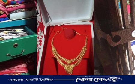 সদরপুরে প্রবাসীর বাড়িতে কেচি গেটের গ্রিল কেটে দুর্ধর্ষ চুরি