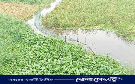 ভাঙ্গায় খালের পানির মধ্যে মিললো যুবকের মরদেহ 