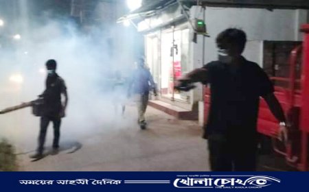 ফরিদপুরে মশক ‌নিধন ‌কর্মসূচি অনুষ্ঠিত 