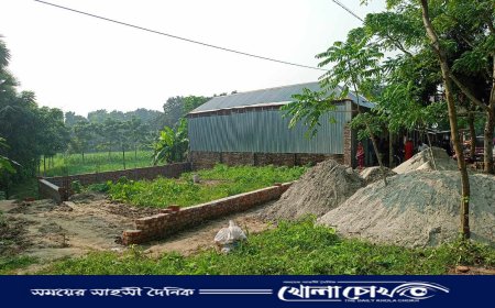 যুবদল নেতা পরিচয়ে আলফাডাঙ্গায় পানি উন্নয়ন  বোর্ডের জায়গা দখল পাকা স্থাপনা নির্মাণ