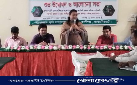 কালীগঞ্জে ইদুর নিধন ও সার বীজ বিতরণ অনুষ্ঠিত