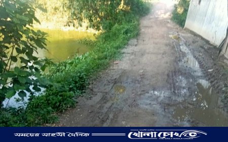 ভূমিদস্যদের কারণে আখাউড়া মোরগা মনিওয়ন সরকারি রাস্তা বিলুপ্তির পথে