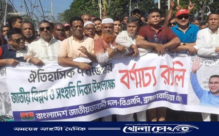 জাতীয় সংহতি দিবস উপলক্ষে ব্রাহ্মণবাড়িয়ায় বিএনপির বর্ণাঢ্য র‍্যালী ও সমাবেশ