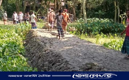 আত্রাইয়ে স্বেচ্ছাশ্রমে চকশিমলা গ্রামে রাস্তা নির্মাণ