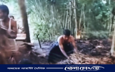 আক্কেলপুরে ২ বিঘা পাকা ধানের জমিতে আগুন দিল দুর্বৃত্তরা